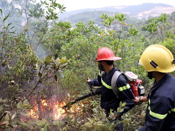 PHÒNG CHÁY RỪNG- PHÒNG TỪ Ý THỨC